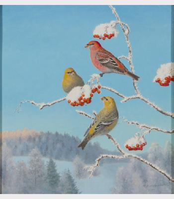 Pine Grosbeaks by 
																			Matti Karppanen