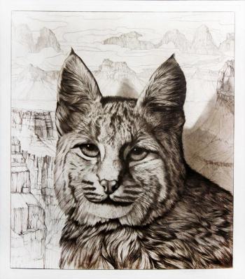Bobcat by 
																	Tom Dale Palmore