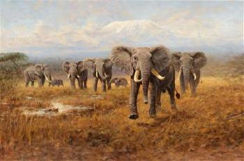 Herd of Elephants with Kilimanjaro in Tanzania by 
																			George Majewicz