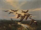 Geese taking off at dusk by 
																			Knud Edsberg