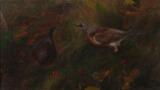 Two birds seeking food by 
																			Valdemar Kongsdal