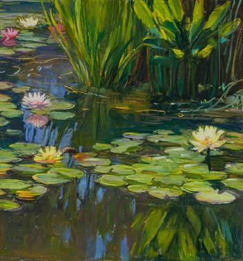 Lily pond by 
																			Tim Solliday