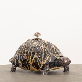 Tortoise Box by 
																	Anthony Redmile