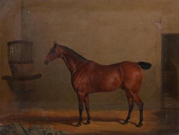 Portrait of a Chestnut Horse in a Stable with an Initialled Horse Blanket G F H by 
																			David Dalby of York