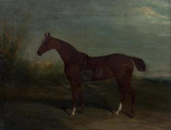 Portrait of a Chesnut Horse with Docked Tail by 
																	David Dalby of York