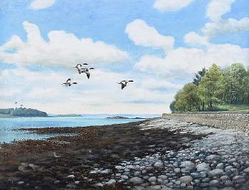 The narrows, Portaferry by 
																	Julian Friers