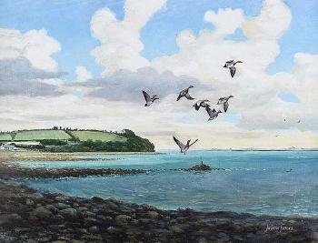 View towards the narrows, Portaferry by 
																	Julian Friers