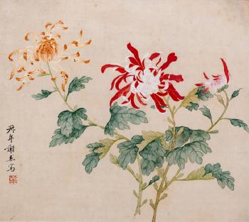 Päonien Und Chrysanthemen by 
																			 Xie Jie