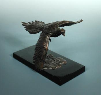 Pheasant in flight by 
																			Mark Coreth