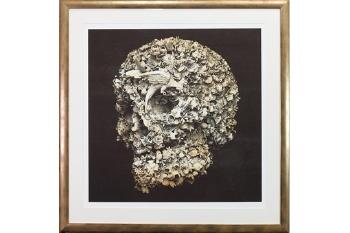Floral Skull (Probably the rarest of the Floral Skull series) by 
																	 Jacky Tsai
