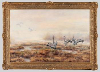 Kraniche im herbstlichen Moor by 
																	Paul W Dahms