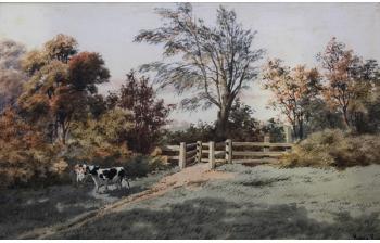 Cattle in a Field by 
																	Harry Frier