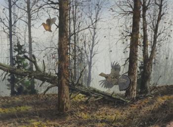 Woodland scene by 
																			David Hagerbaumer
