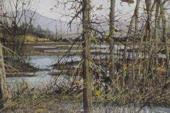 Marsh scene by 
																			David Hagerbaumer