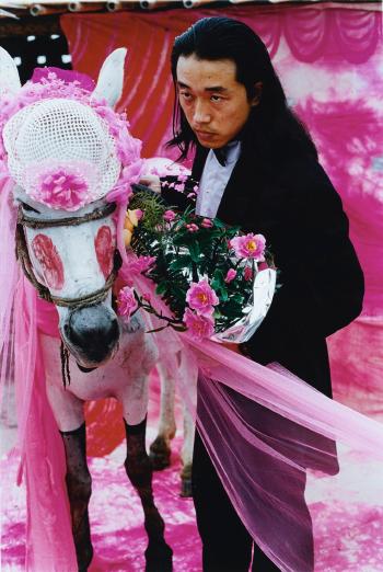 To Marry a Mule by 
																	 Wang Jin