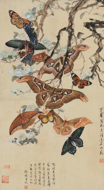 Butterflies by 
																	 Xu Shuxiu