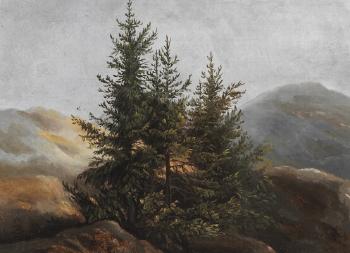 Pine trees on a mountain top by 
																	Johan Christian Clausen Dahl
