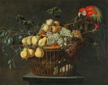 Still life of a basket of fruit with a parrot by 
																			Adriaen van Utrecht
