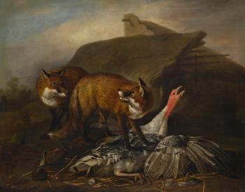 Foxes Attacking A Turkey by 
																	Martin Ferdinand Quadal