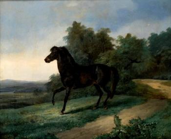 Cheval à l'arrêt dans un paysage champêtre by 
																	Johann Georg Volmar