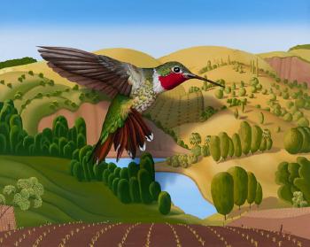 Hummingbird Dancer
 by 
																	Tom Dale Palmore