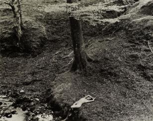 Nude In A Landscape by 
																	John Swannell