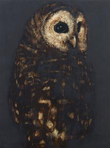 Owl by 
																	David Noonan