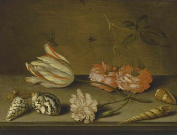 A Semper Augustus Tulip, a Carnation and Roses, with Shells and Insects, on a Ledge by 
																	Balthasar van der Ast
