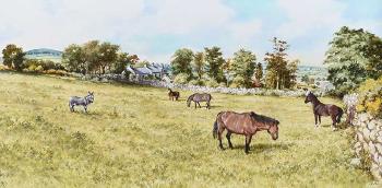 Horses Grazing, Castlereagh
 by 
																	Gerald Walby