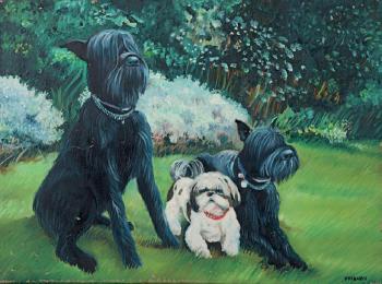 Portraits de chiens, deux schnauzers géants et un lhassa apso by 
																	Nicolas Garcia Uriburu