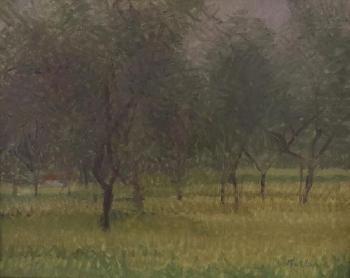 'Olive Trees Camiore' by 
																	Robert Buhler