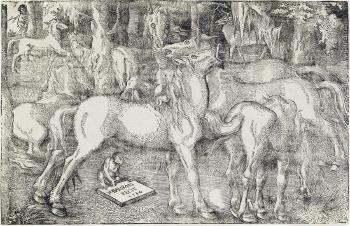 Group Of Seven Horses by 
																	Hans Baldung Grien