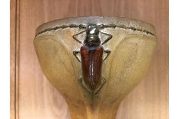 A Molten Glass Beetle Vase by 
																			Henri Berge