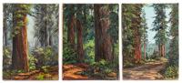 Three works: Redwoods by 
																	Florence Sackett