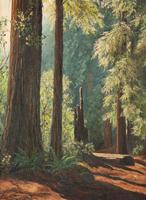 Redwood forest by 
																	Florence Sackett