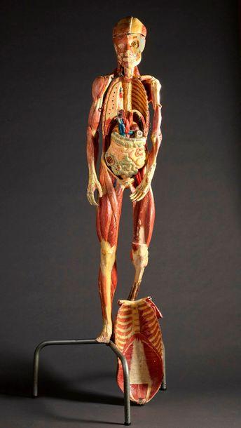 Écorché Anatomique by 
																			Louis Thomas Jerome Auzoux