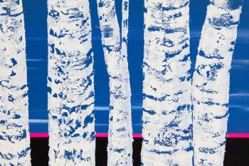 Blue Birches by 
																			Michal Mroczka