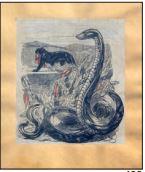Panthère et serpent by 
																	Paul Jouve