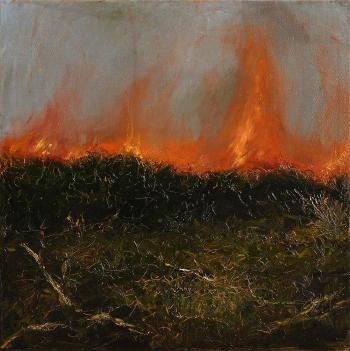 Gorse Fires by 
																			Paul Forde Cialis