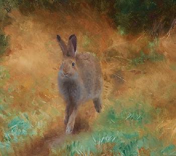 Autumn landscape with a hare by 
																			Bruno Liljefors