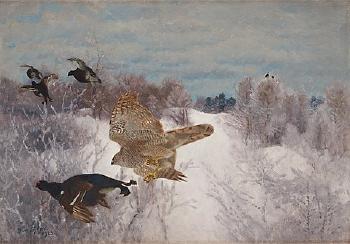 Northern goshawk attacking black grouse by 
																			Bruno Liljefors