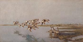 Geese by 
																			Bruno Liljefors