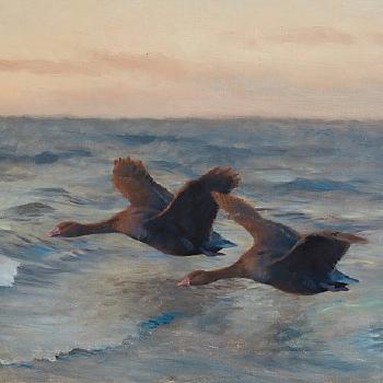 Seascape with geese by 
																			Bruno Liljefors