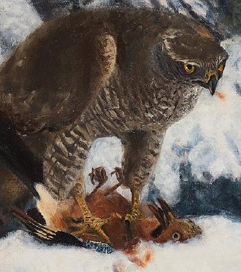 Northern goshawk with prey by 
																			Bruno Liljefors