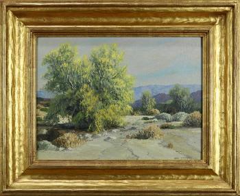 Palo Verda Trees - La Quinta Canyon, Palm Springs, California by 
																			Carl J Sammons