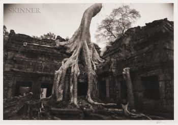 Angkor 26, Ta Prohm, Cambodia by 
																			Kenro Izu