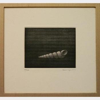 Sea Shells by 
																			Yozo Hamaguchi
