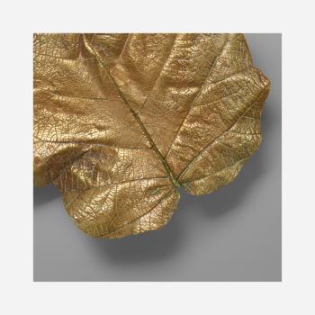 Leaf Low Table by 
																			Paul Oudet