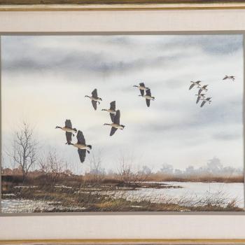 Geese flying over marsh by 
																			David Hagerbaumer