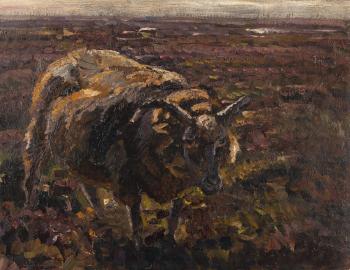 Ein Schaf In Der Heide (Heidschnucke) by 
																	Heinrich von Zugel